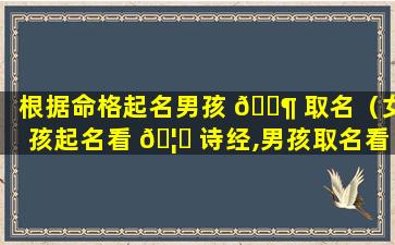 根据命格起名男孩 🐶 取名（女孩起名看 🦁 诗经,男孩取名看什么）